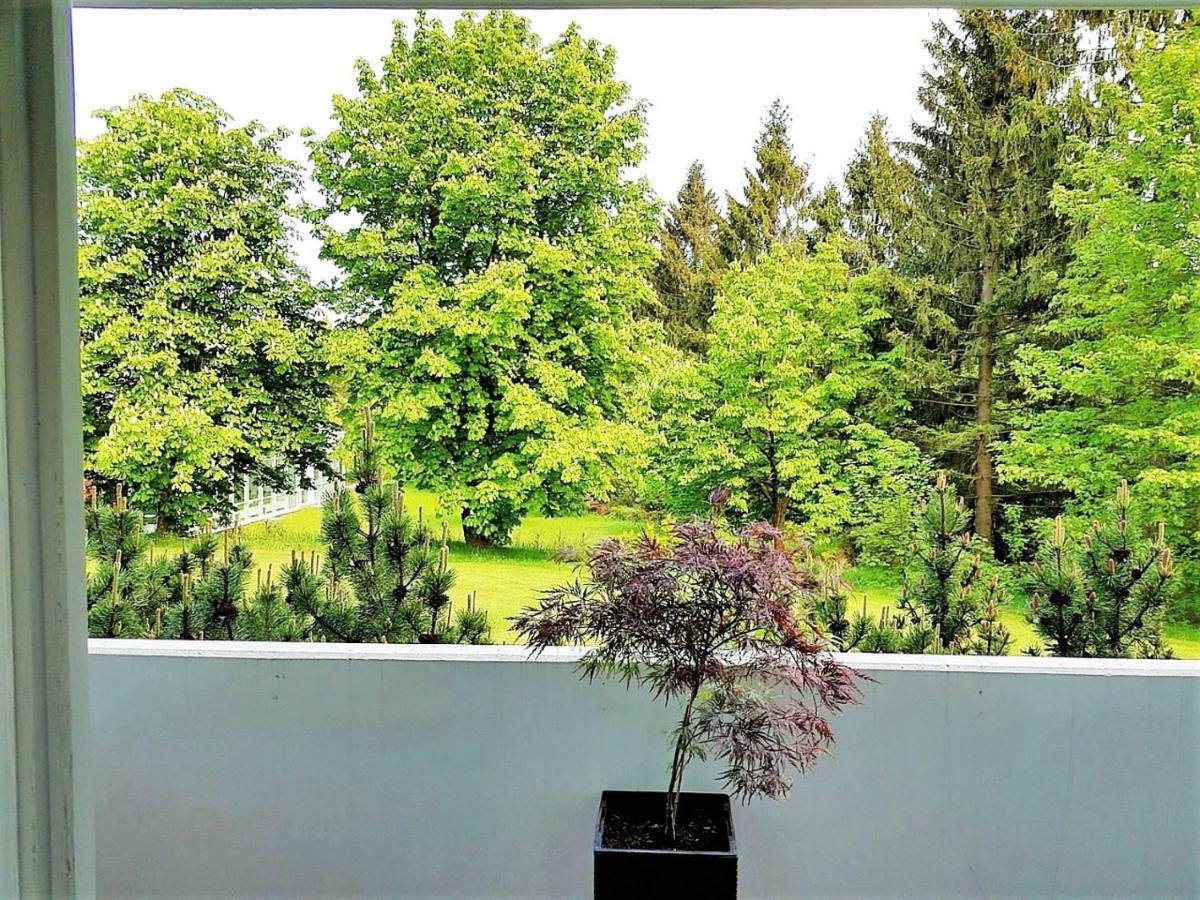Grossdorf Ferienwohnung Waldsuite Im Harz Goslar Exteriér fotografie