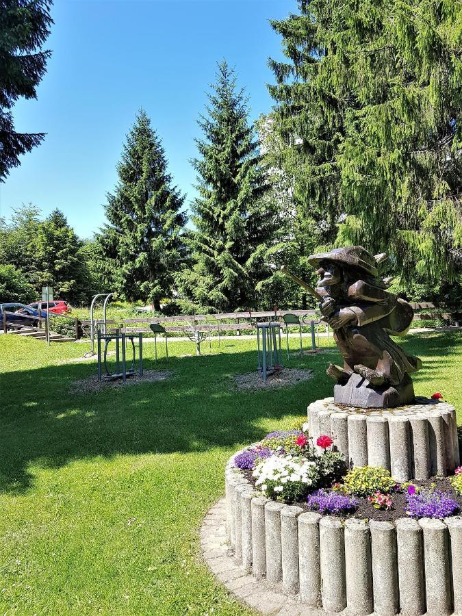 Grossdorf Ferienwohnung Waldsuite Im Harz Goslar Exteriér fotografie