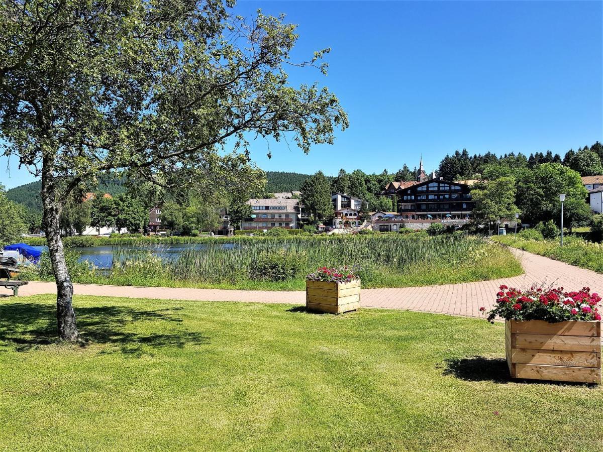 Grossdorf Ferienwohnung Waldsuite Im Harz Goslar Exteriér fotografie