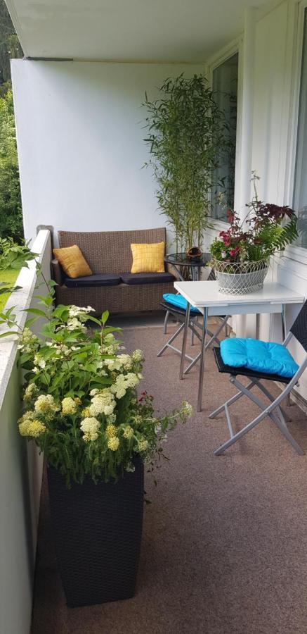 Grossdorf Ferienwohnung Waldsuite Im Harz Goslar Exteriér fotografie